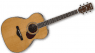 Ibanez Artwood Vintage Thermo-Aged acoustic guitars, vacuum, aged, vintage, tone,wood,spruce,sitka,mahogany,rosewood