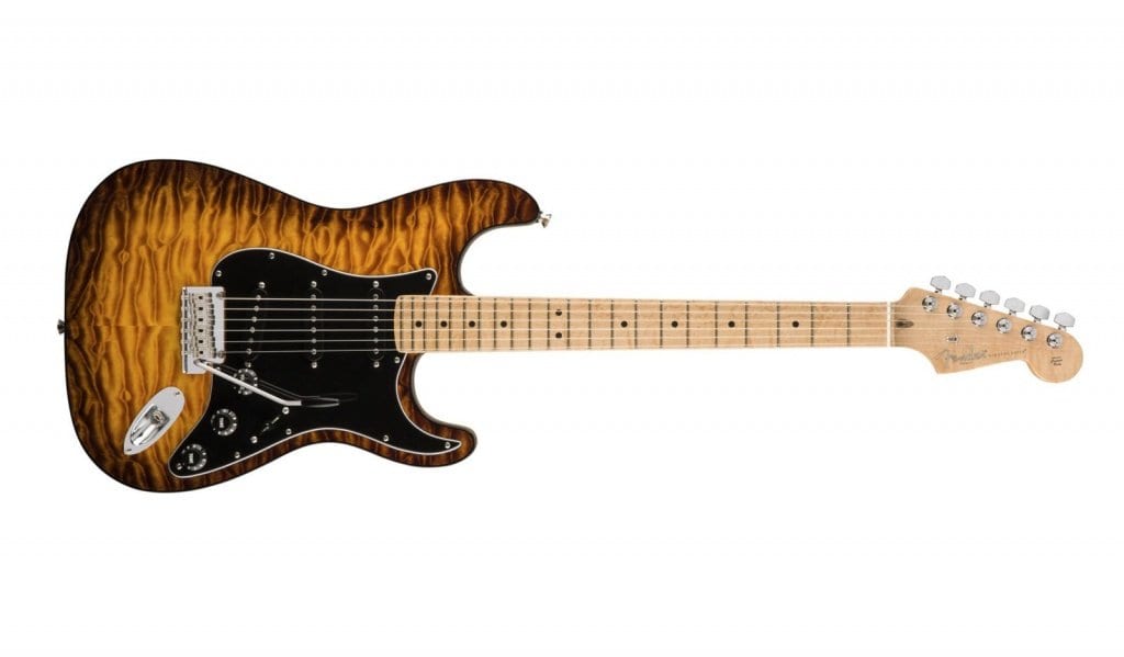 Limited Edition American Professional Mahogany Stratocaster