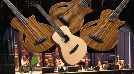 Martin Ed Sheeran Divide Acoustic Guitar Hughes & Kettner 'Mystery' Amp and ESP LTD TL-4Z fretless bass and 5-string TL-5SM 5-string bass