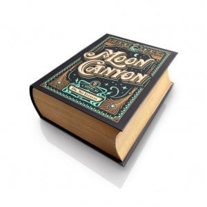 Moon Canyon 'book' box
