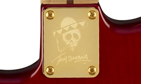 Fender Tash Sultana signature HSS Stratocaster neck plate