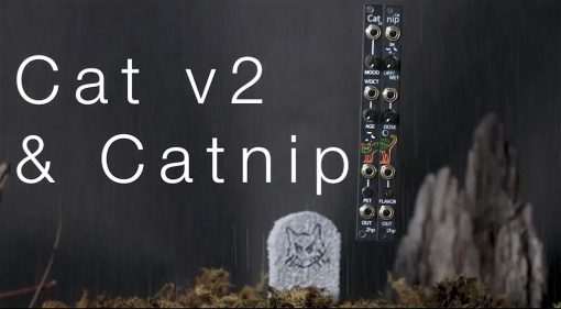 2HP Cat v2 and Catnip