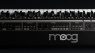 Moog Matriarch rear connections