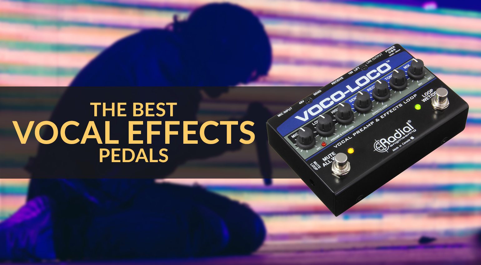 kern besteden ginder The best vocal effects pedals for studio and stage