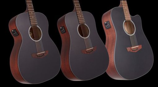 DEAL- D'Angelico Premier acoustic guitars