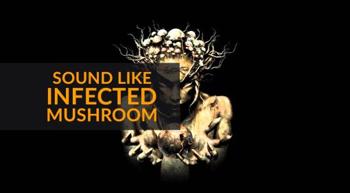 Converting Vegetarians: How to Sound Like Infected Mushroom