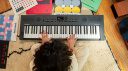 Roland GO:KEYS Music Creation Keyboard