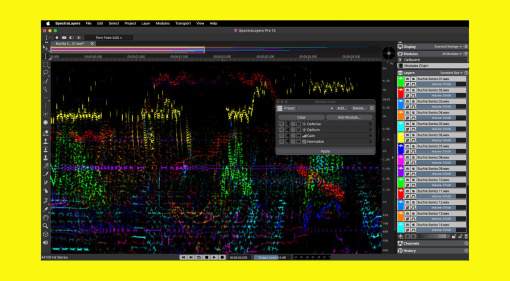 Steinberg SpectraLayers 12: Improved Unmixing, New Speech Enhancement Modules, and more