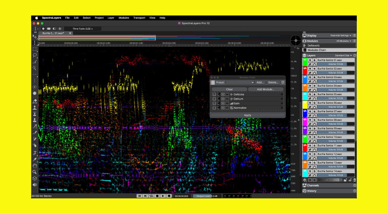 Steinberg SpectraLayers 12: Improved Unmixing, New Speech Enhancement Modules, and more