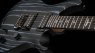 PRS SE Swamp Ash CE 24 Sandblasted