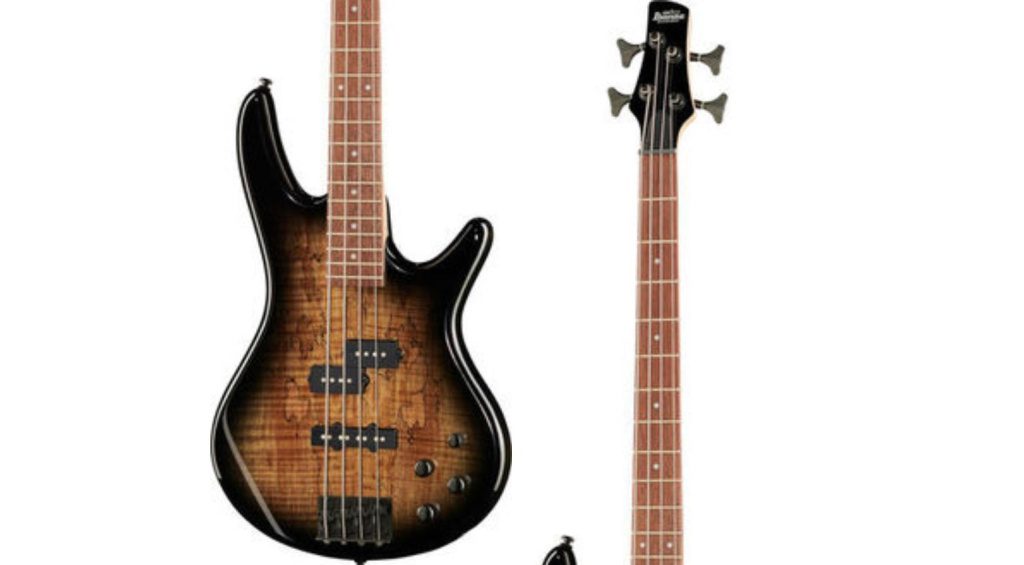 Ibanez Bass Left Day 