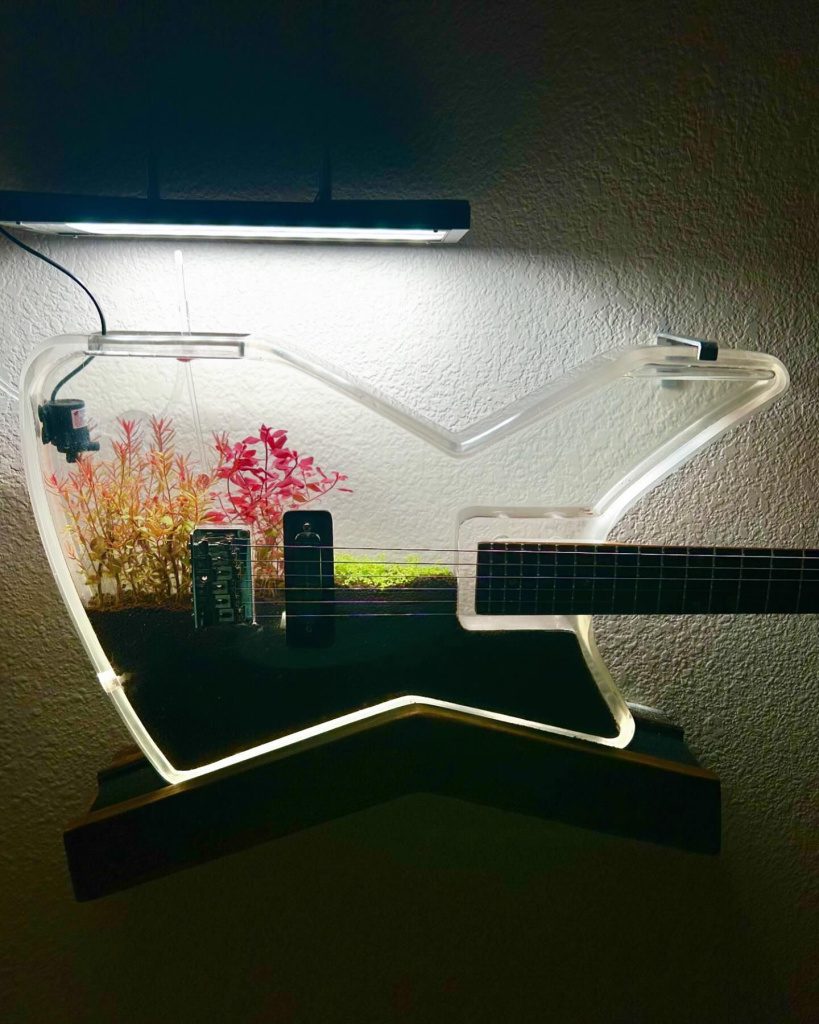 Burls Art Aquarium Guitar