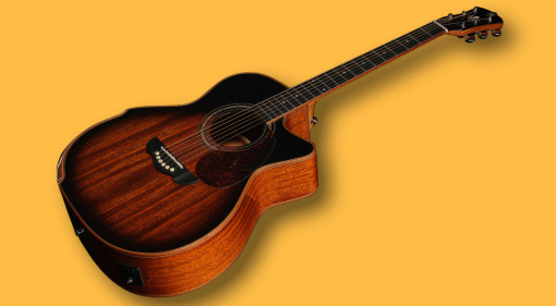 Harley Benton CLG Series: New 650SM Models with Vintage Looks!
