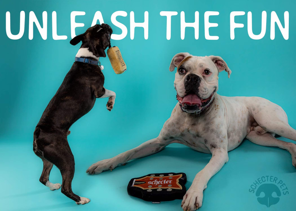 Schecter Pets Unleash the Fun with Chompest and Humbarker!