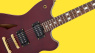 EVH SA-126 Standard: Affordable Version of the Birthday Signature!