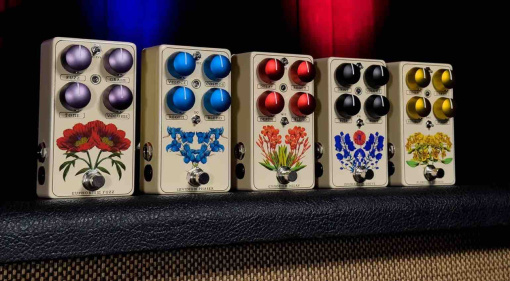 Guitar Journal- Red Witch Apothecary Series