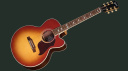 Gibson Parlor Rosewood EC: Small Yet Mighty!
