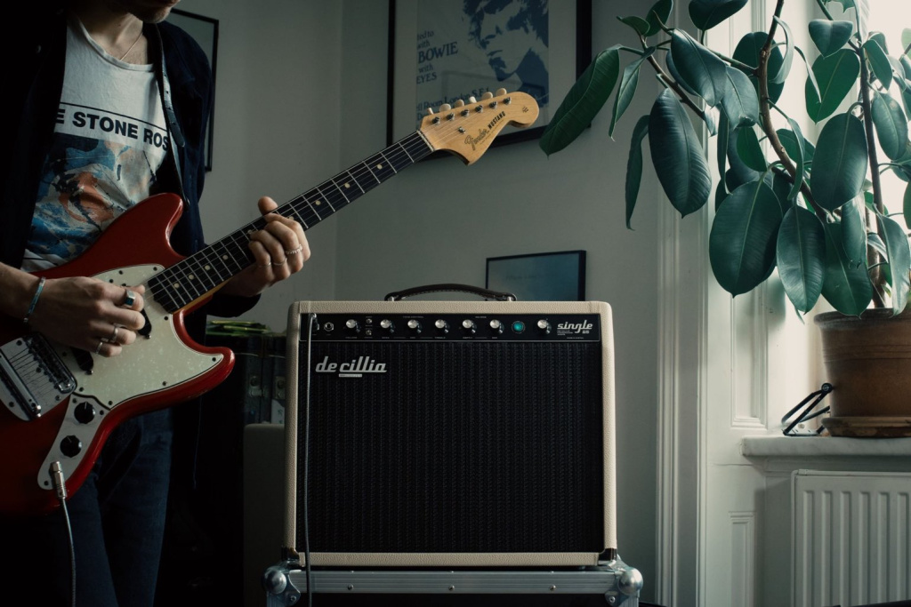 Decillia Amplification