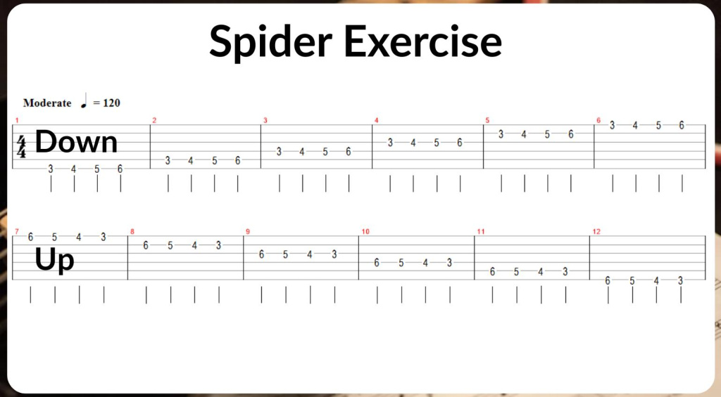 Spider exercise for guitar