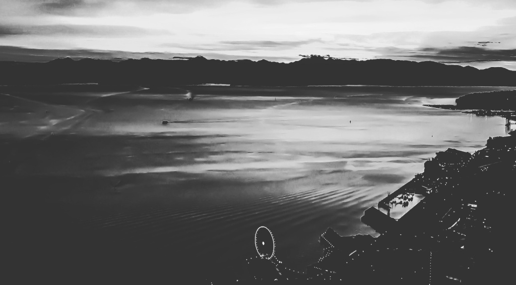 Grunge Guitar: Hometown Seattle, Washington