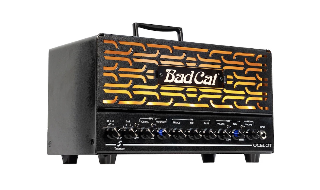 Bad Cat Ocelot Lunchbox Head