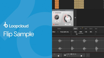 Loopcloud Flip Sample: Give your Sample-based Workflow a Boost