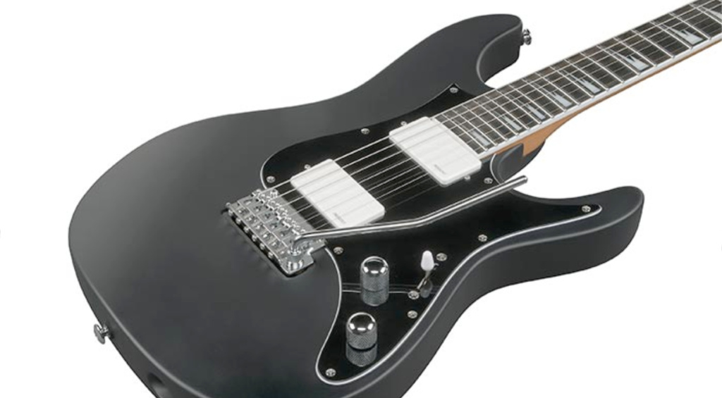Bernth's custom Fishman Fluence pickups