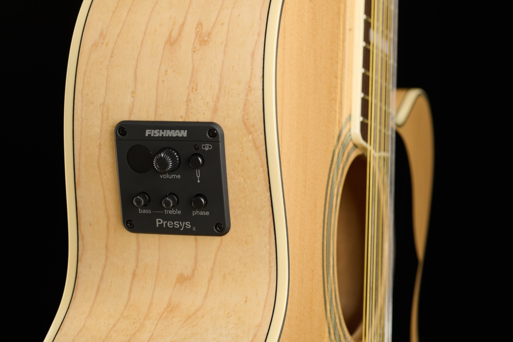 Harley Benton King-12 CE NT