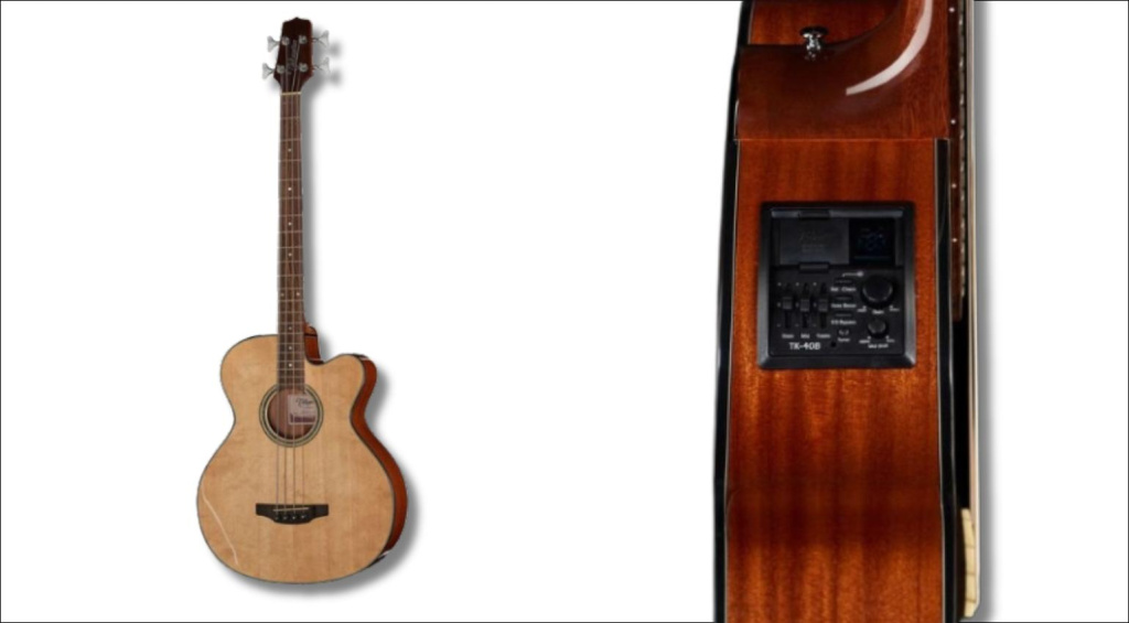 Takamine acoustic bass