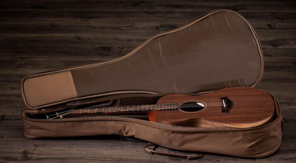 Academy 22 with gig bag