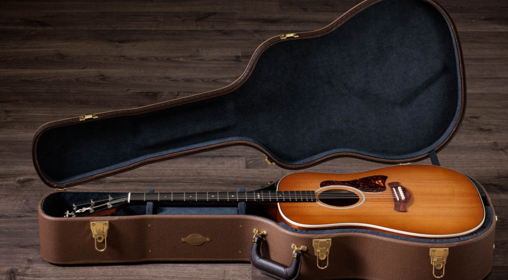 Beautiful guitar case included! 