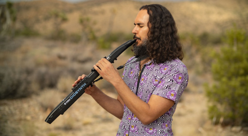 ASM Diosynth Wind Synth