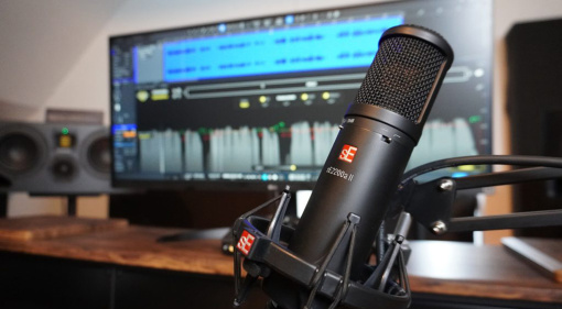 Perfect Vocals Made Easy: How to Make Your Singing and Speech Sound Professional