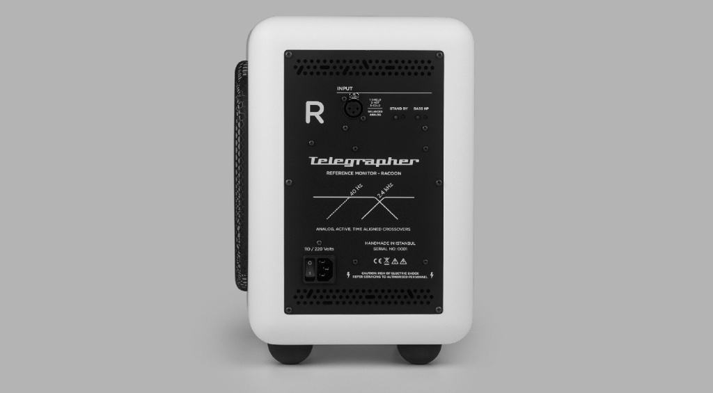 Telegrapher Raccoon Rear