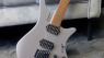 Guitar Journal: Strandberg Neck-Thru & More