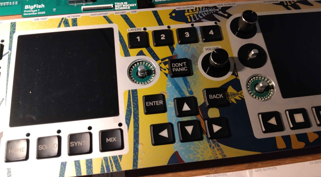 this-is-not-rocket-science-bigfish-1