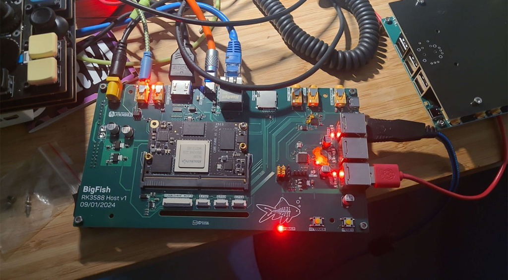 this-is-not-rocket-science-bigfish-3