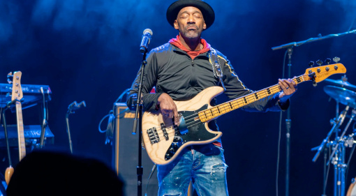 The 5 Best Signature Bass Guitars for Every Budget