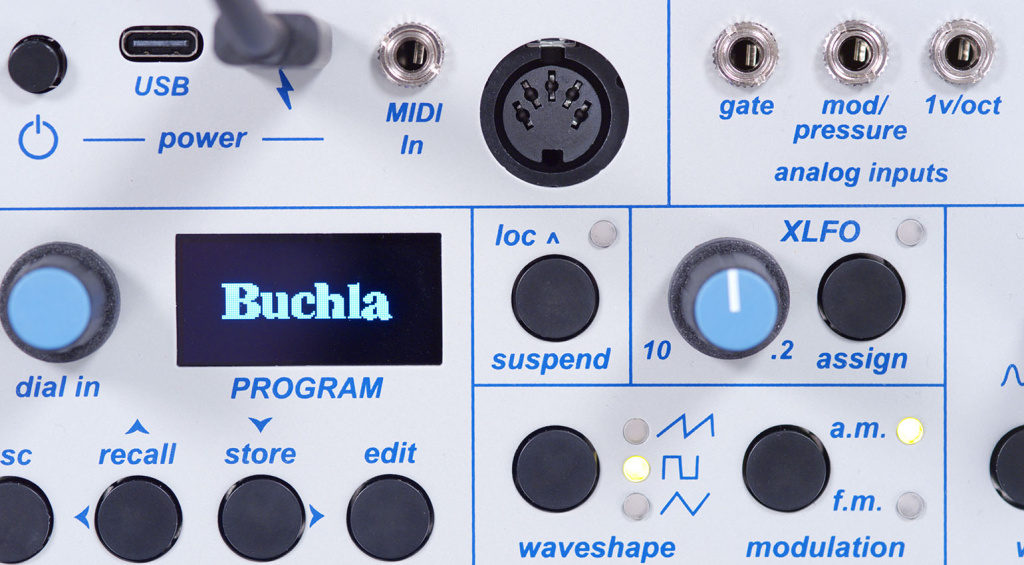 buchla-ziggy-close-2