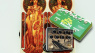 Guitar Journal: Korn, The Beach Boys & More!