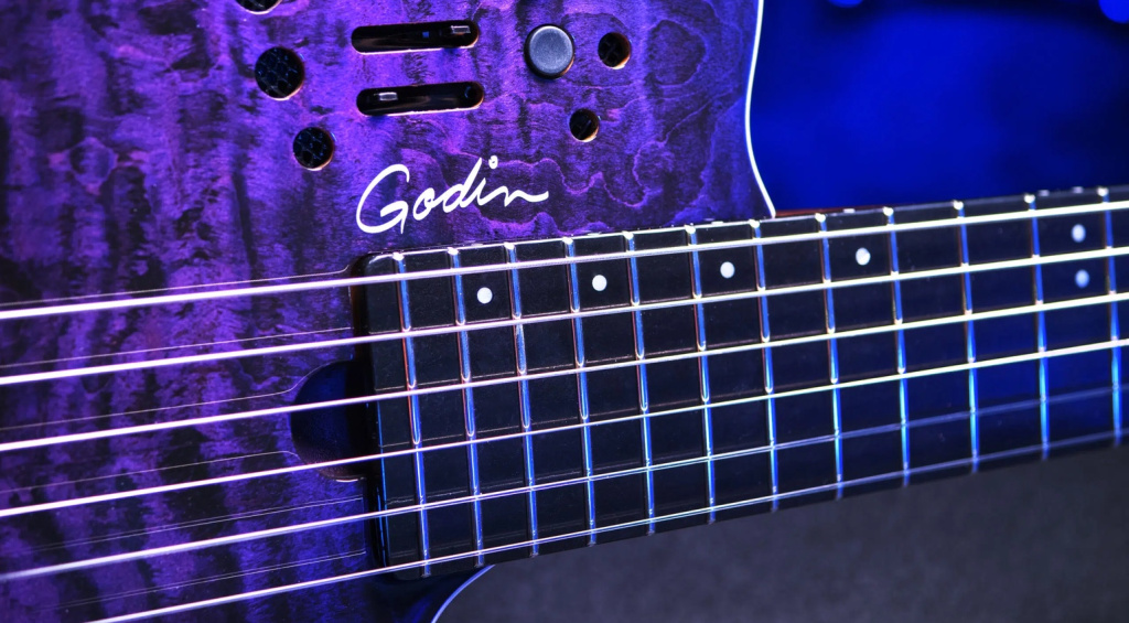 Godin ACS Nylon Steve Stevens