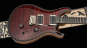 PRS Custom 24 Birds of a Feather: Only 360 Available!