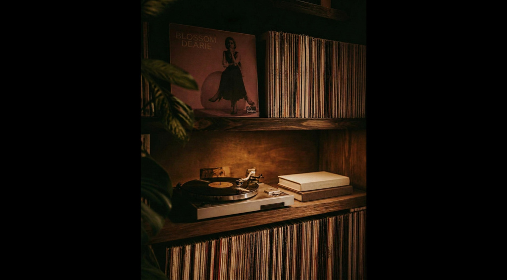 Suno Vinyl